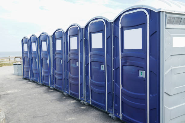 Best Deluxe Portable Toilet Rental  in Ladera Heights, CA